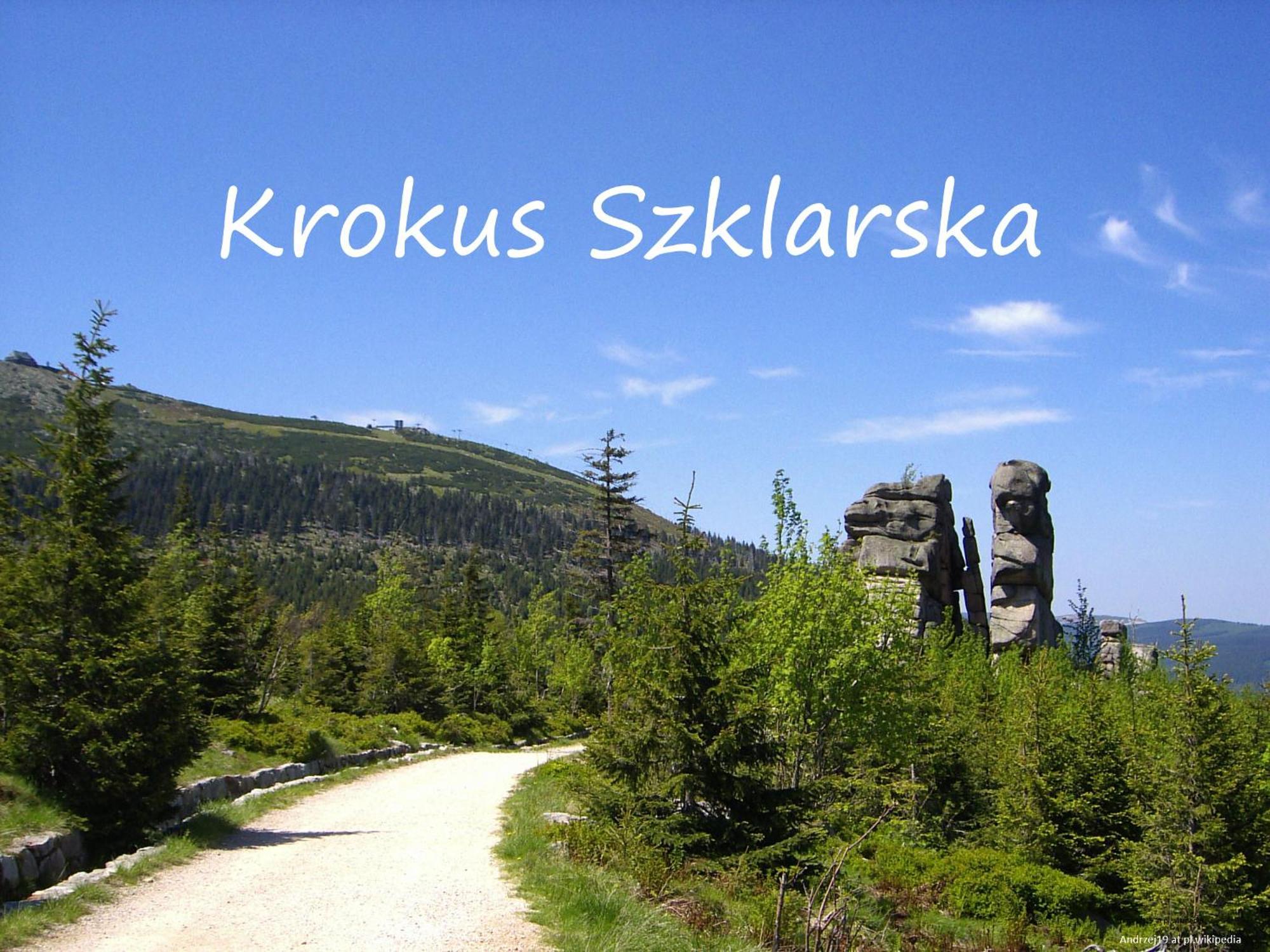 Apartament Krokus Szklarska Szklarska Poreba Ngoại thất bức ảnh